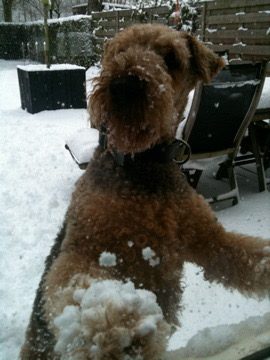 Come play outside already!